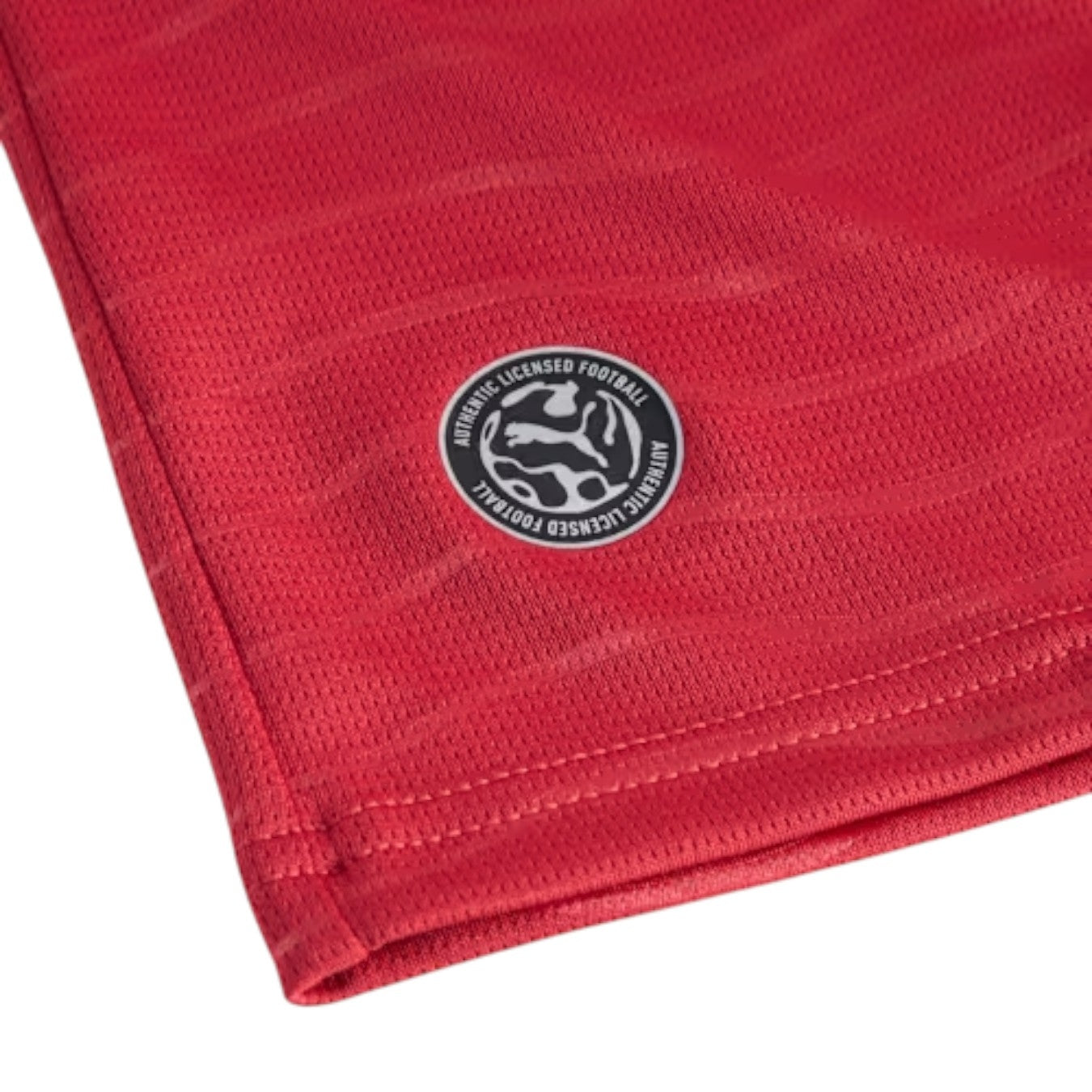 Maillot Manches Longues CR7 Portugal Domicile 26/27 - Puma