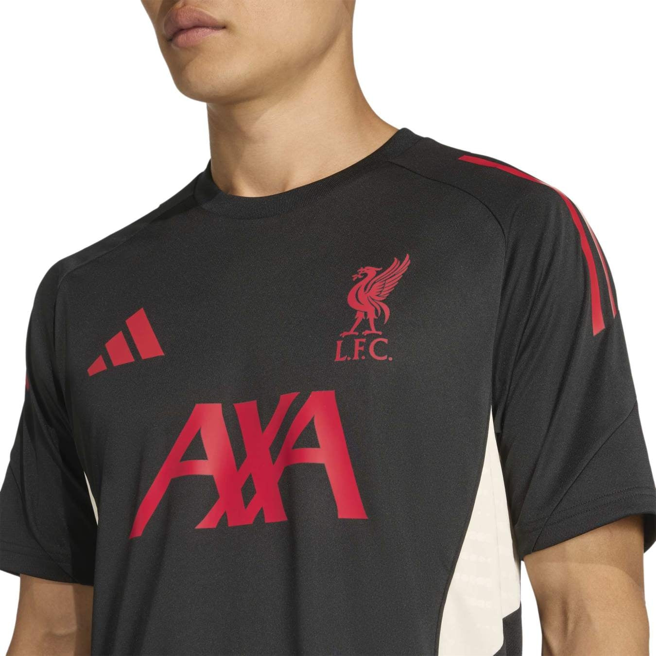 Maillot Training Liverpool 2025/2026